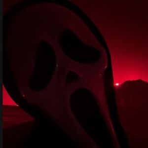 Meet your Posher, Daisy